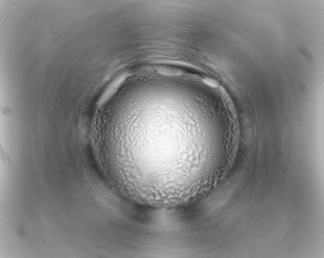 X0000091230273200708091423