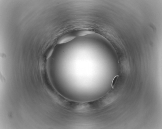 X0000091230274200708091423