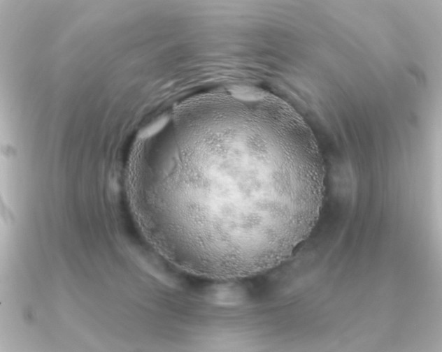 X0000091230275200708091423