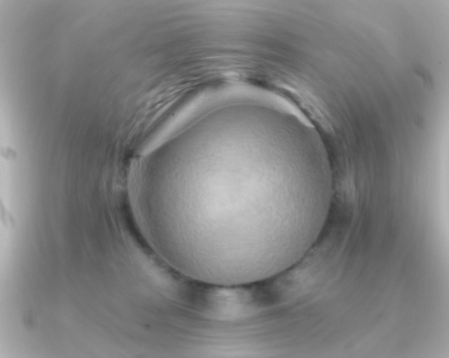 X0000091230277200708091423