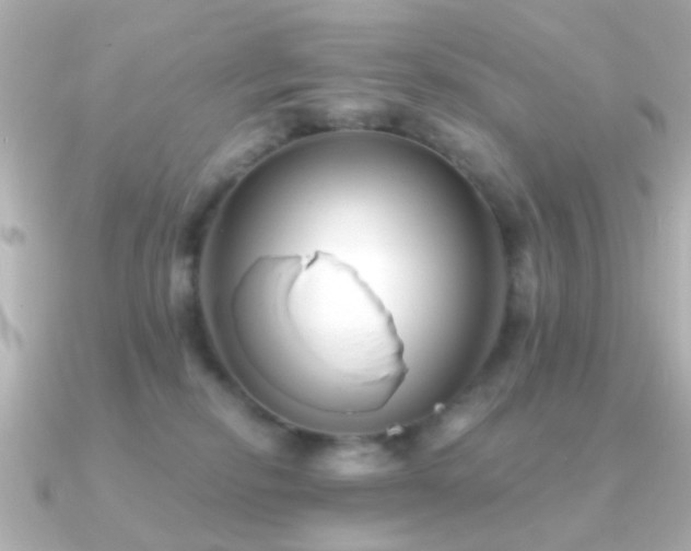 X0000091230278200708091423