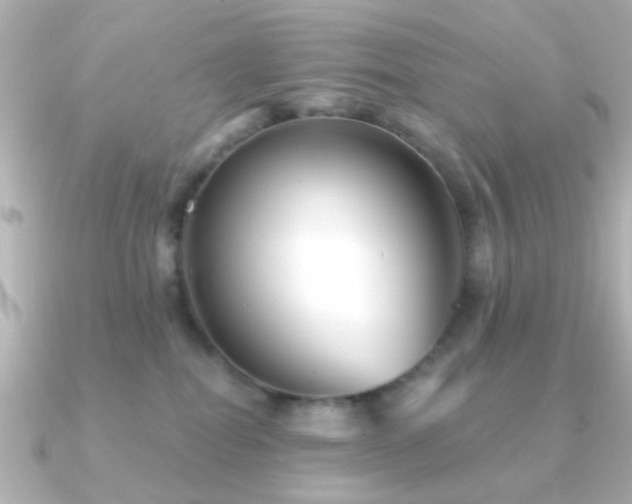 X0000091230282200708091423