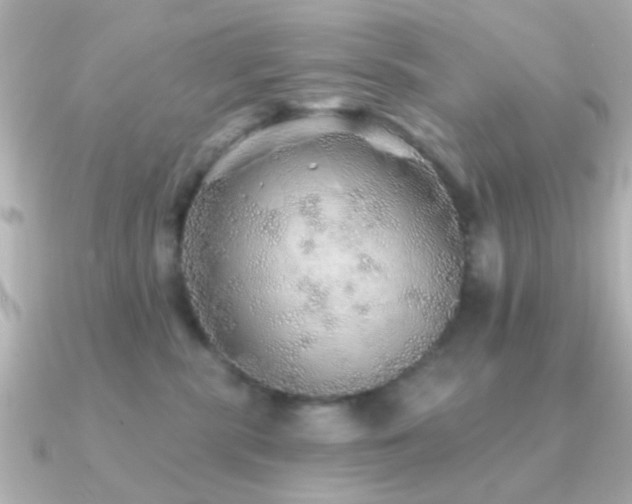 X0000091230283200708091423