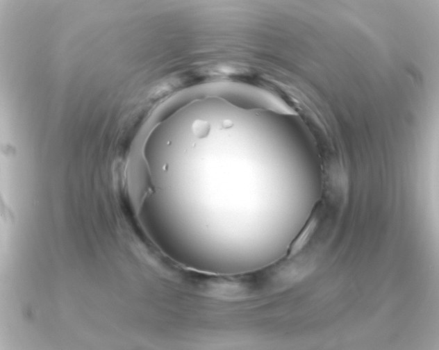 X0000091230284200708091423