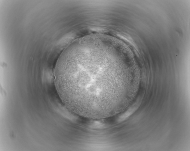 X0000091230285200708091423