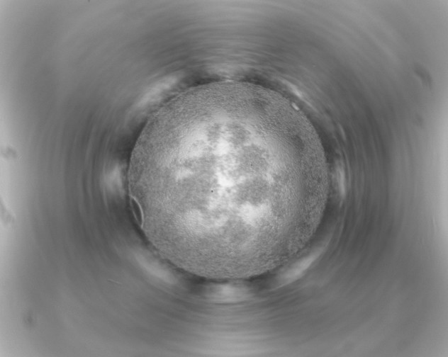 X0000091230286200708091423