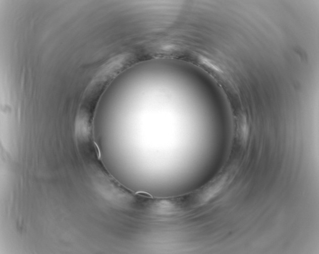 X0000091230287200708091423