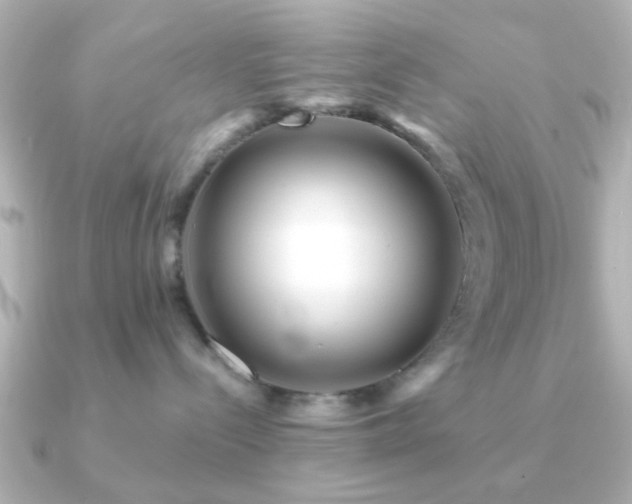 X0000091230288200708091423