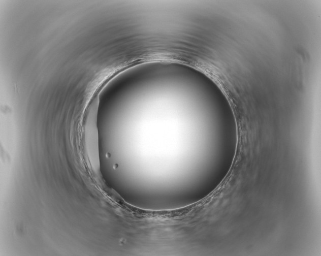 X0000091230289200708091422