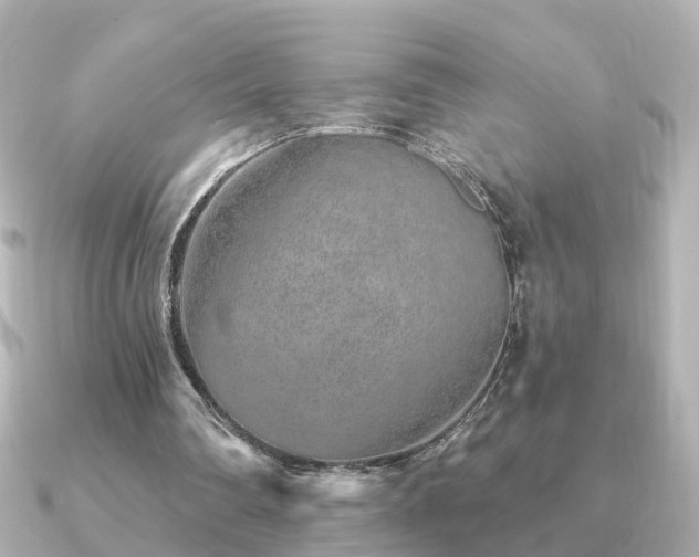X0000091230290200708091422