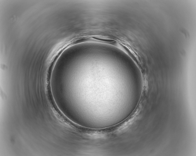 X0000091230293200708091422