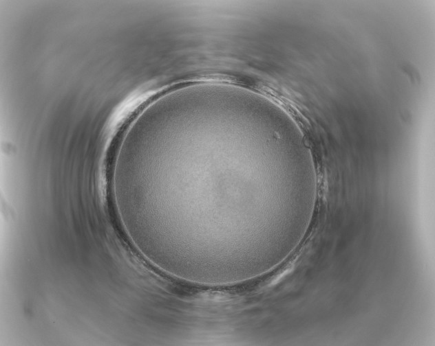 X0000091230294200708091422