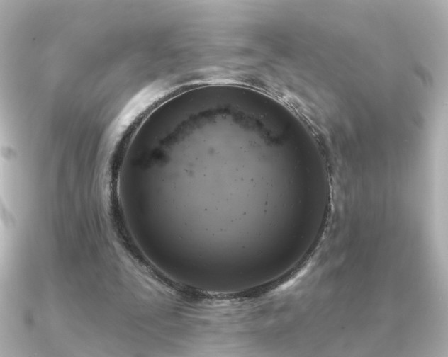 X0000091230295200708091422