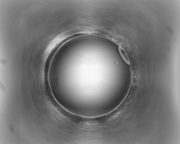 X0000091230296200708091422