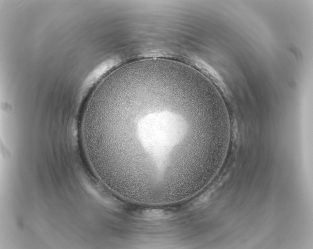 X0000091230298200708091422