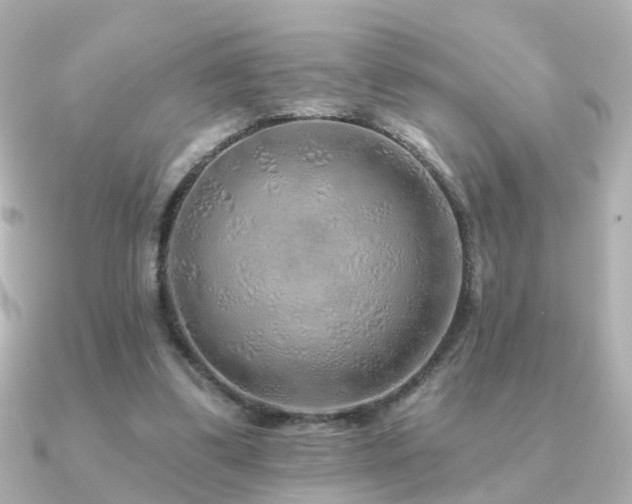 X0000091230299200708091422