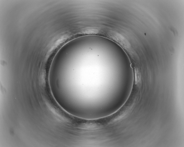 X0000091230300200708091422
