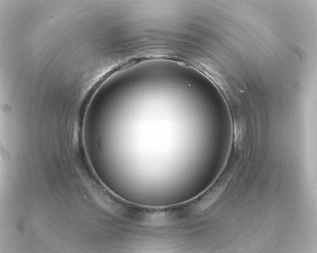 X0000091230301200708091422