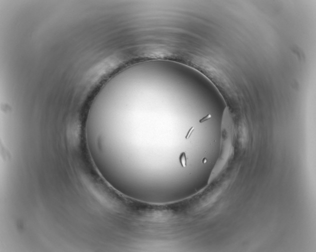 X0000091230304200708091422