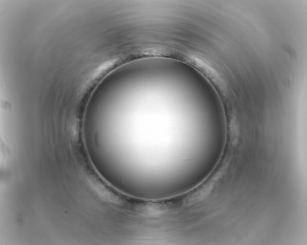 X0000091230305200708091422