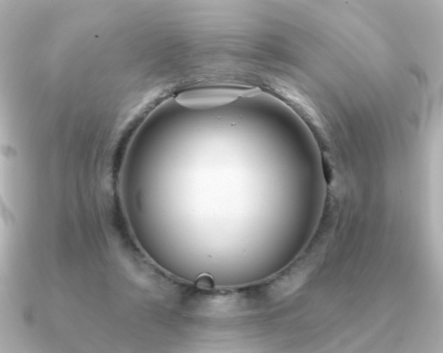 X0000091230306200708091422