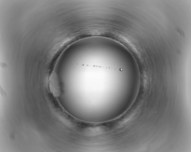 X0000091230307200708091422