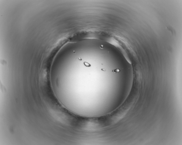 X0000091230308200708091422