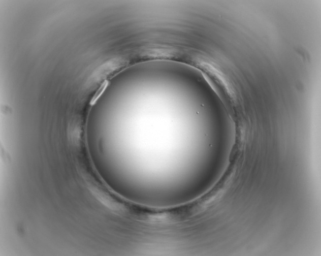 X0000091230309200708091422
