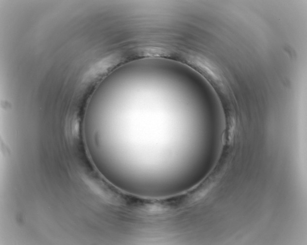 X0000091230310200708091422