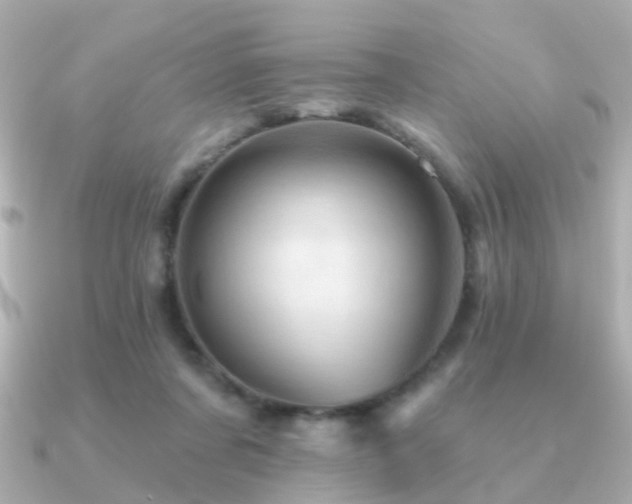 X0000091230311200708091422
