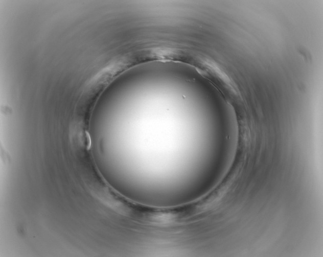 X0000091230313200708091422