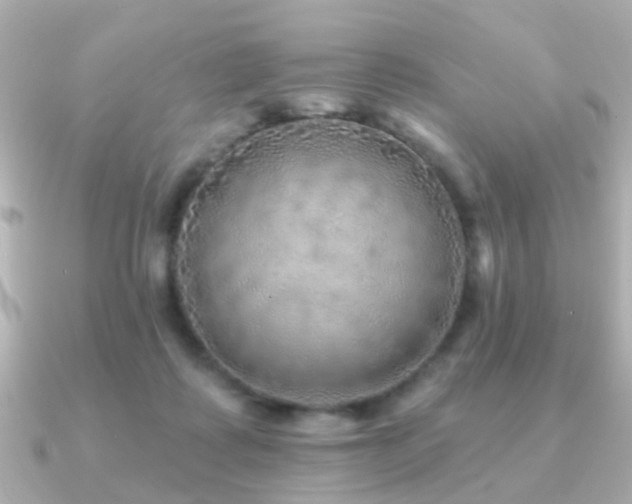 X0000091230315200708091422