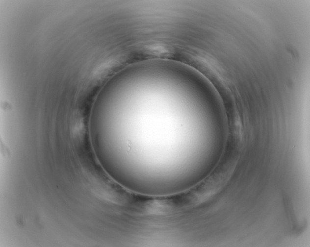 X0000091230320200708091422