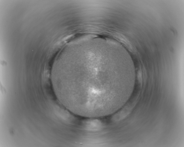 X0000091230322200708091422