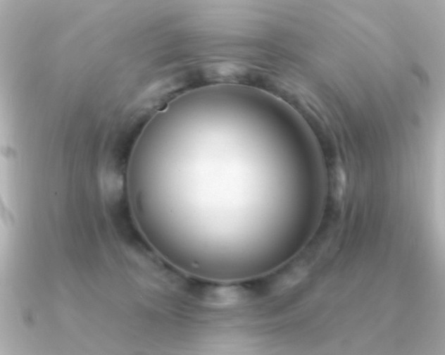X0000091230324200708091422