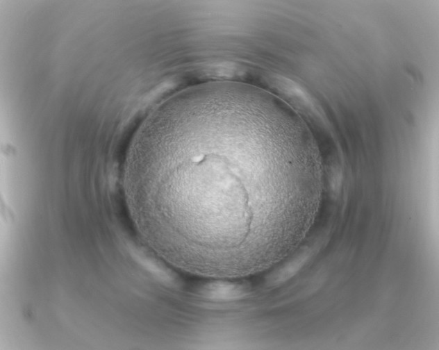 X0000091230326200708091422