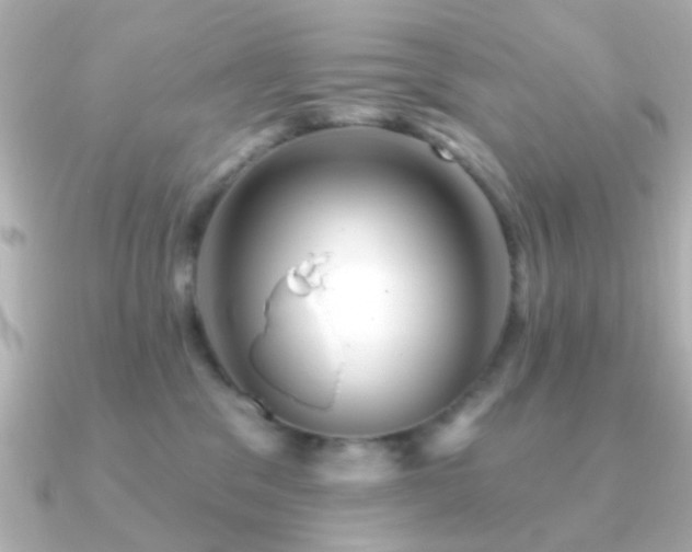 X0000091230329200708091422