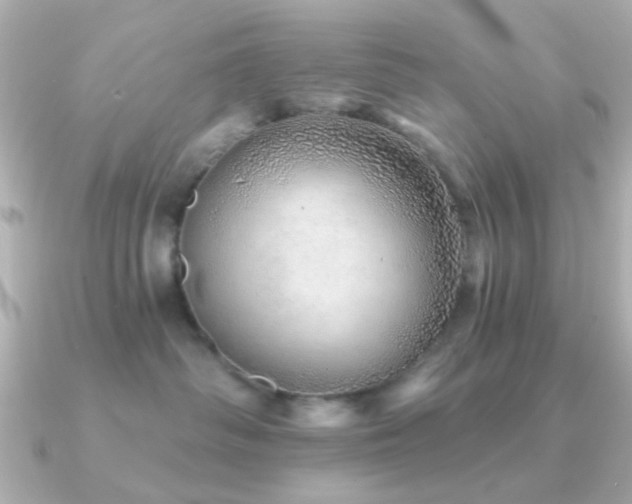 X0000091230334200708091422