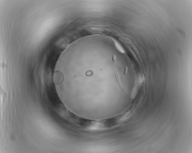 X0000091230335200708091422