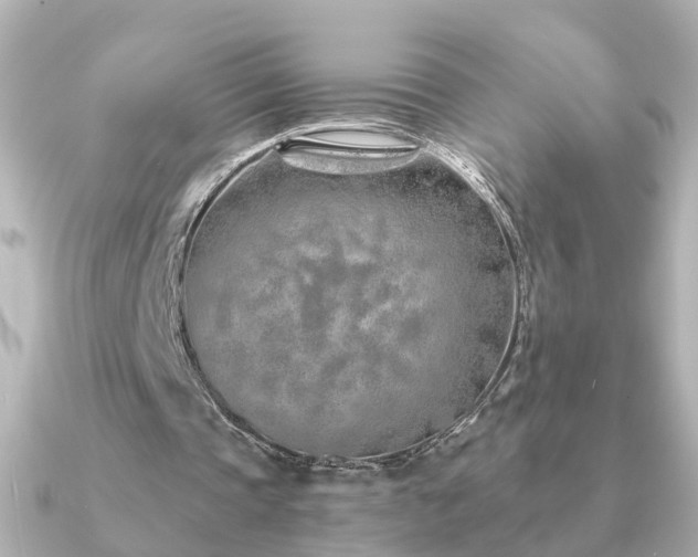 X0000091230337200708091421