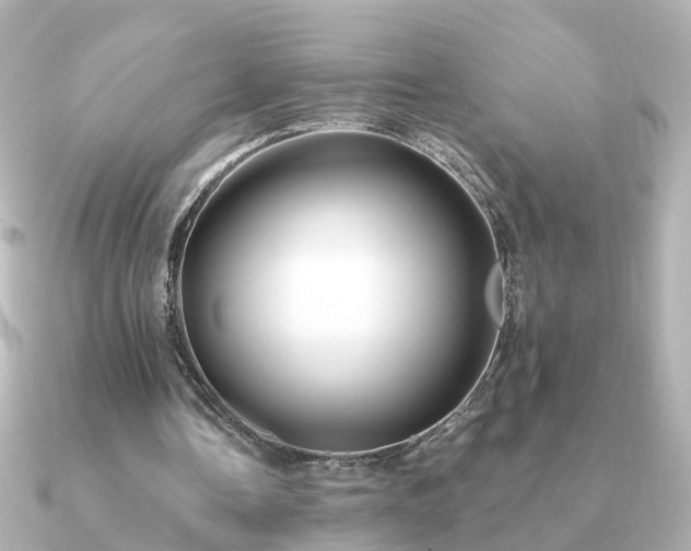 X0000091230338200708091421