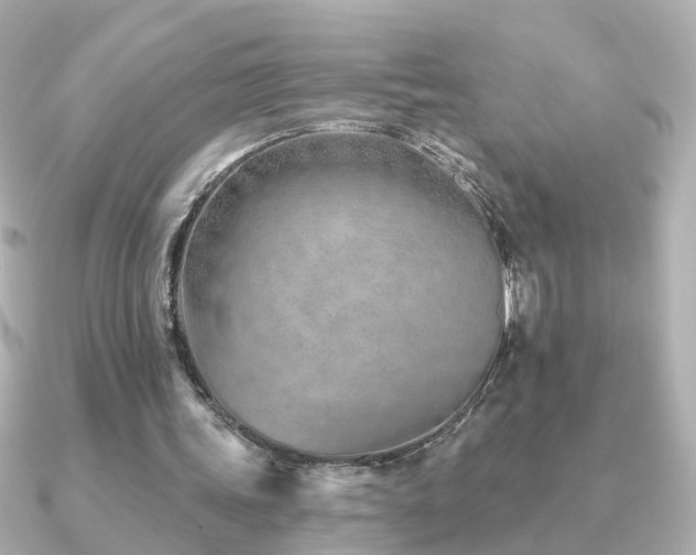X0000091230339200708091421