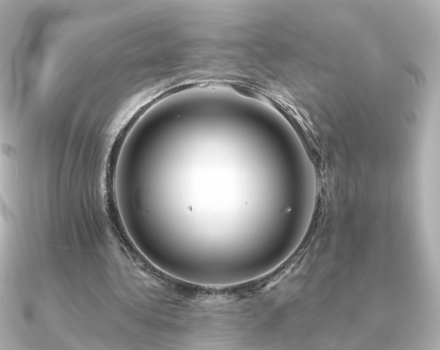 X0000091230340200708091421