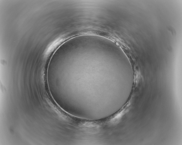 X0000091230341200708091421