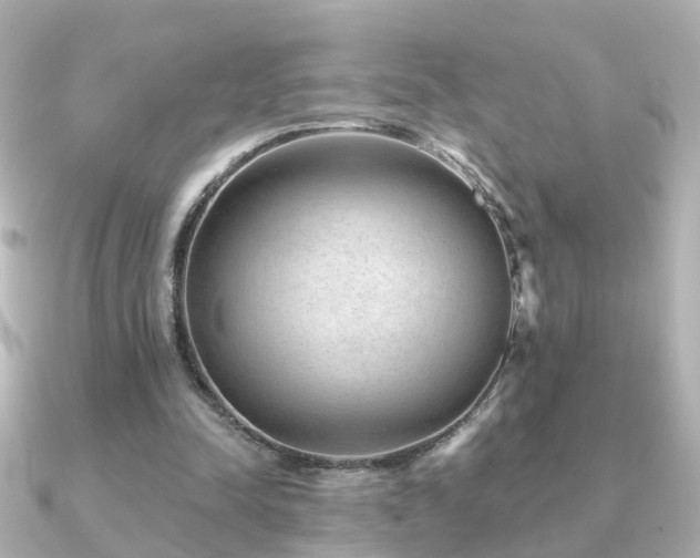 X0000091230342200708091421