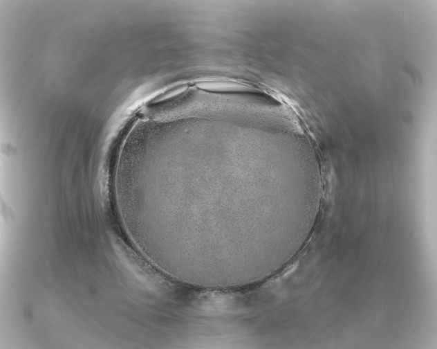 X0000091230343200708091421