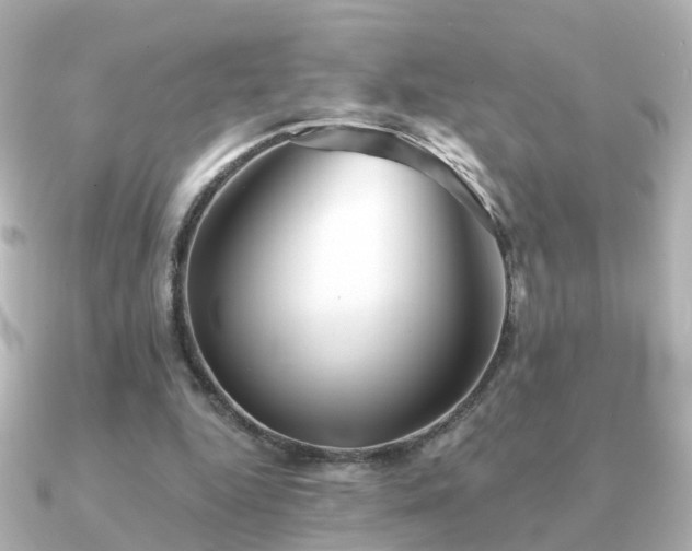 X0000091230344200708091421