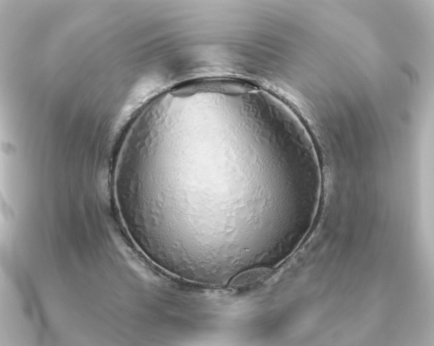 X0000091230345200708091421