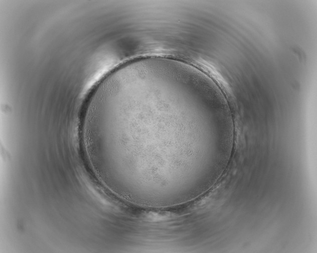 X0000091230346200708091421