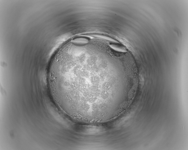 X0000091230347200708091421